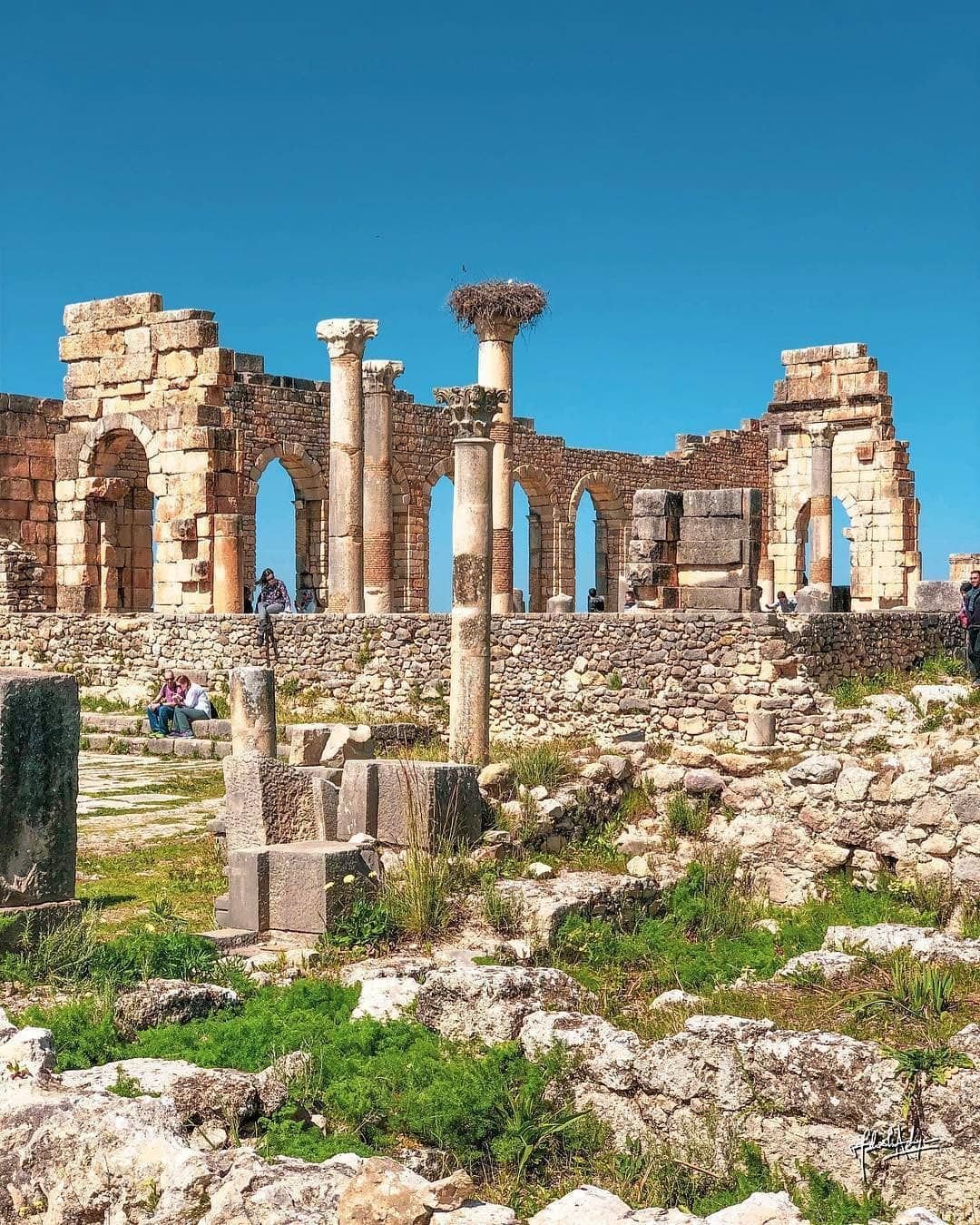 1e7daa911791744985932b4382918d08