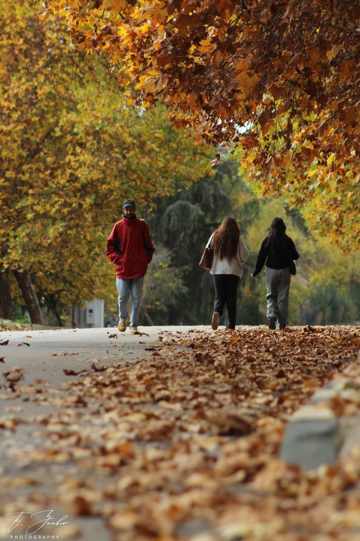 4724b2365a828c106197fdeeee34f106