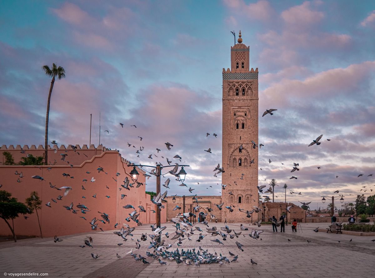 6ca745acb1e64bad4b1a2c8bcce6c88c