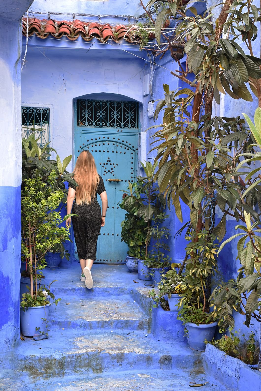 86b0861bb1551ebbebba59522520fc5e