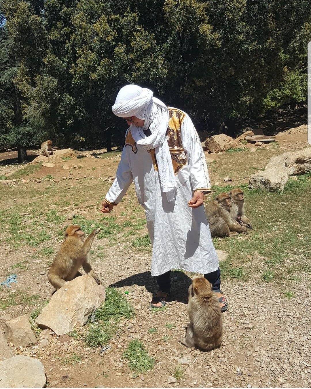 8ba712e0c3f83a0102258fd0e1fd2556