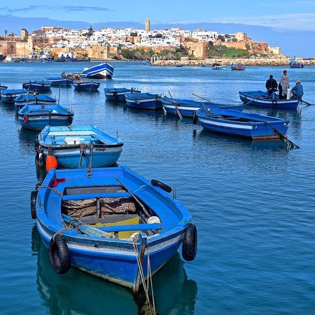 de89e6038d804b59be5a645516976322