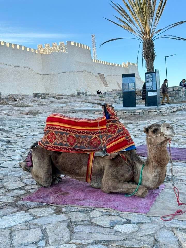 15a4c5b4b7d152d9c4f01815453a44e9