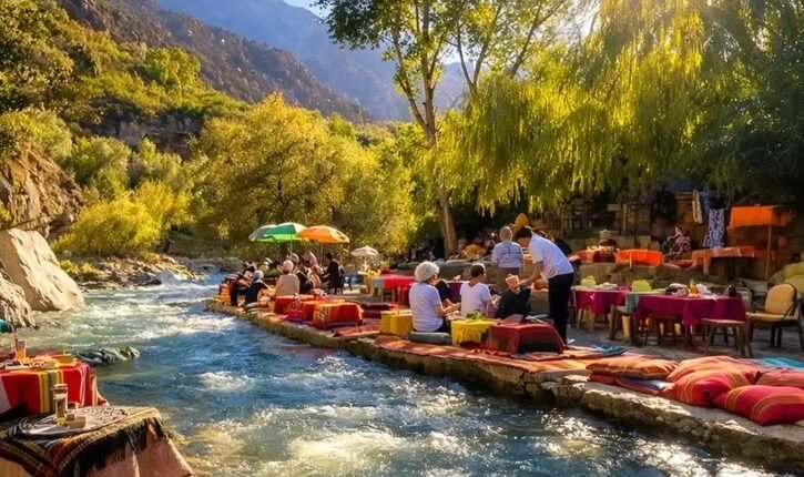 615497c714b4fb78bc0e41cceea3a447