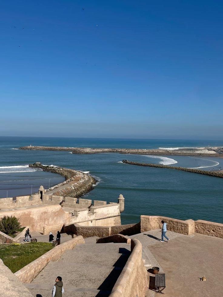 8c0323f362ab91996c51da7f2a7f1132