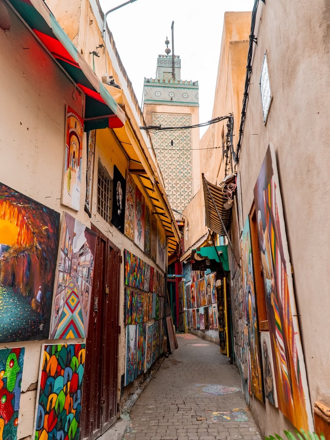 IMG-20260210-WA0016 (1)