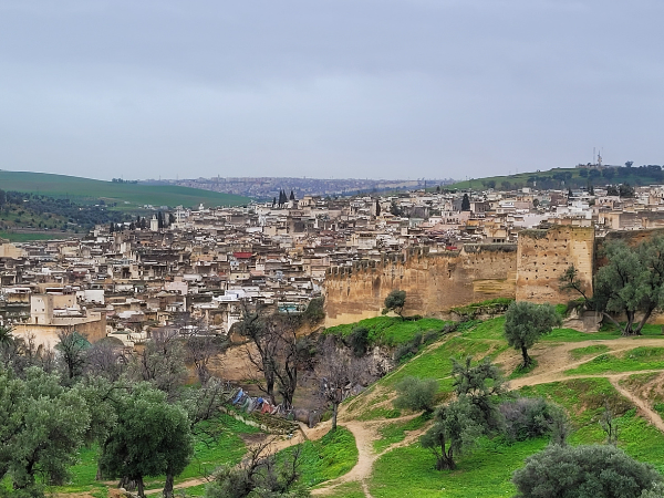 Untitled design (14)