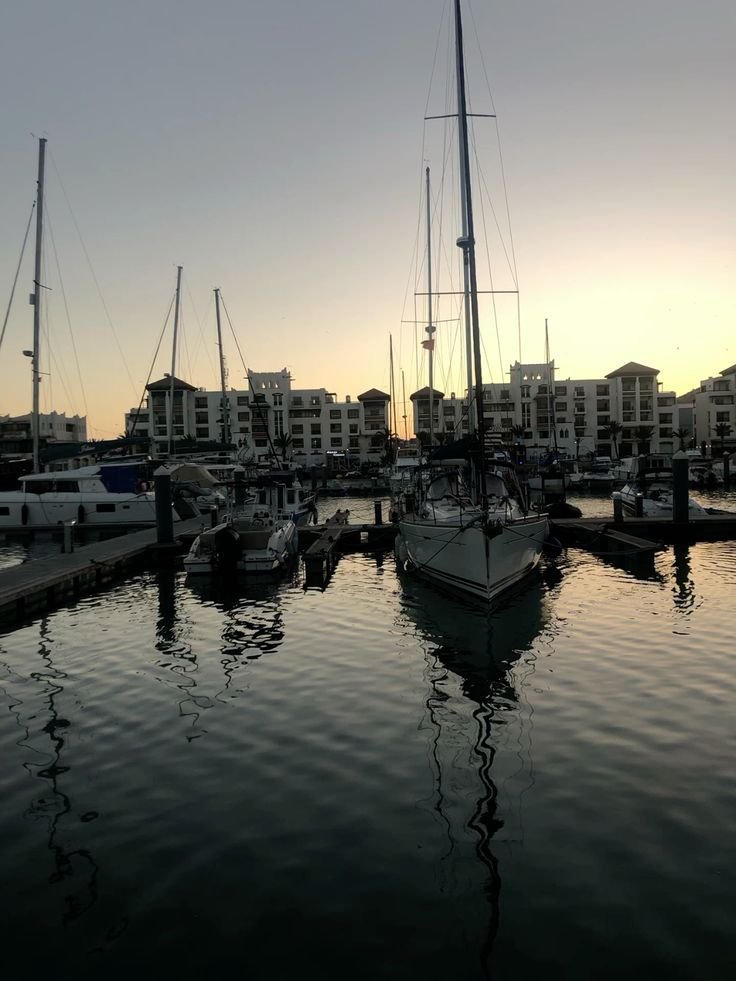 a7d9187ddd21f2488832d6be426b9013