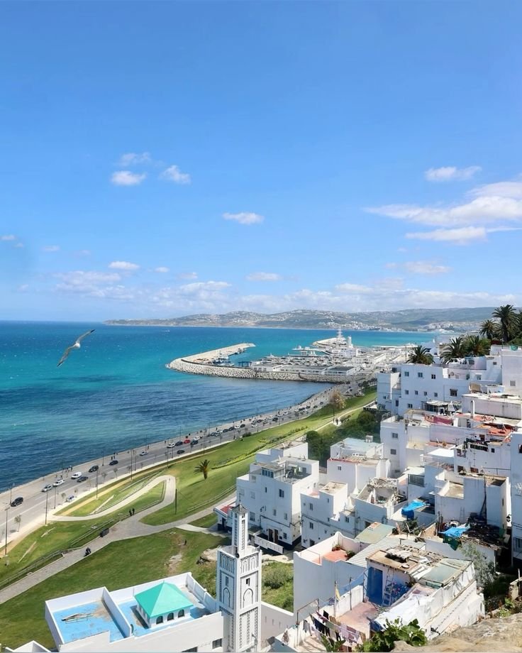 e299df860ef7657552e7fec3700a7956