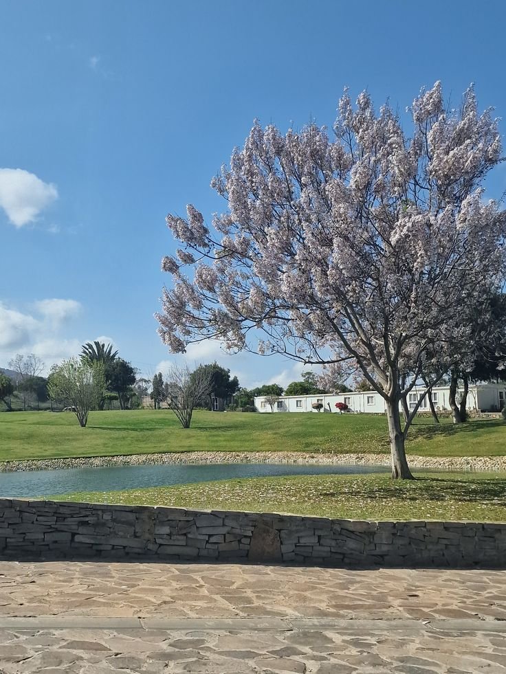 ebe3dd3b08f600624584a2dcb861ba77